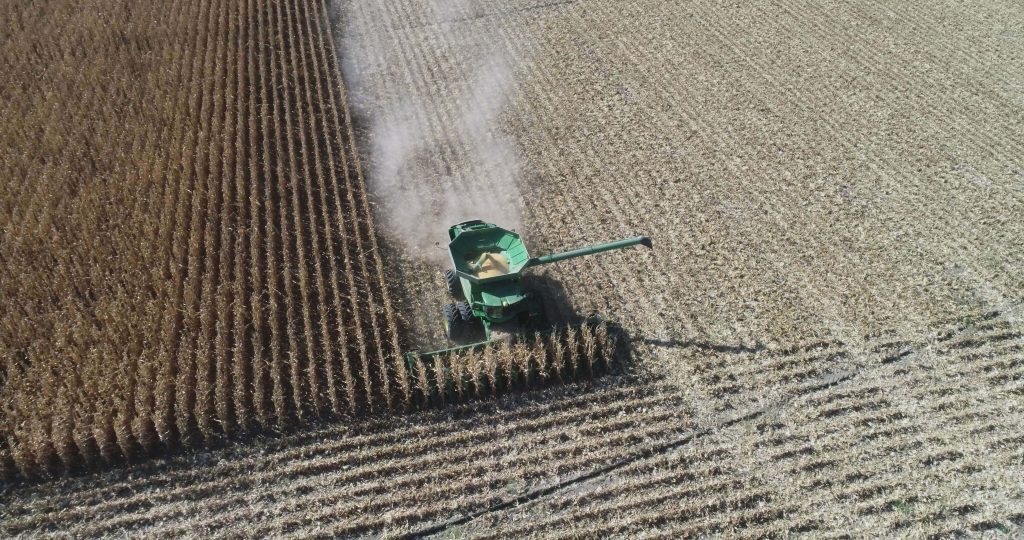 Aerial view of combine harvesting corn in rows across a large field