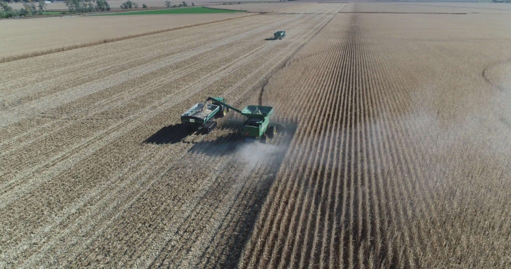 Combine harvester unloading grain during fall harvest in a large field