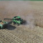 Combine harvester unloading grain into tractor trailer during soybean harvest