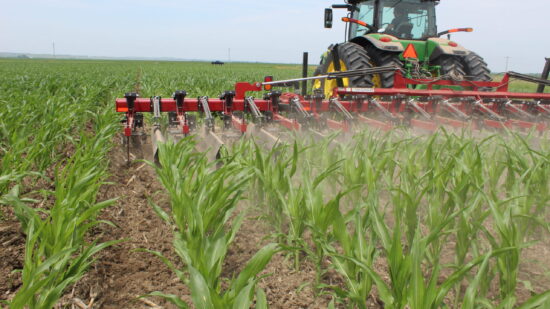 Reducing Weed Pressure to Improve Field Performance
