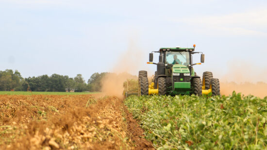 Peanut Harvest Is Coming: Are Your Digger Blades Ready?